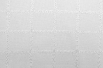 Скатертная ткань 25536/2005, 174 гр/м2, шир.150см, цвет белый - купить в Артеме. Цена 269.46 руб.