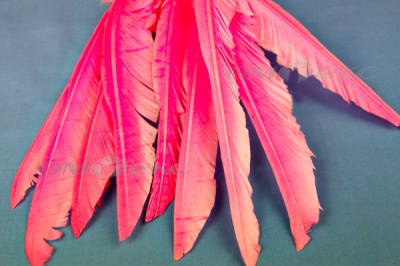Декоративный Пучок из перьев, перо 25см/розовый - купить в Артеме. Цена: 14.40 руб.