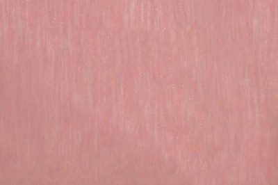 Органза однотонная "Амелия" С19 (Розовый) 280 см - купить в Артеме. Цена 303.09 руб.