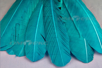 Декоративный Пучок из перьев, перо 24см/голубой - купить в Артеме. Цена: 12.19 руб.