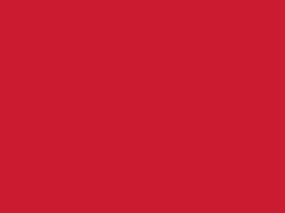 Сетка подкладочная красный, 60г/м2 (10 м/кг) - купить в Артеме. Цена 885.73 руб.