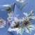 Плательная ткань "Фламенко" 12.1, 80 гр/м2, шир.150 см, принт растительный - купить в Артеме. Цена 241.49 руб.