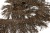 008-коричневый, Бахрома арт.001 шир.10см (упак.12+/-0,5м) - купить в Артеме. Цена: 1 017.33 руб.