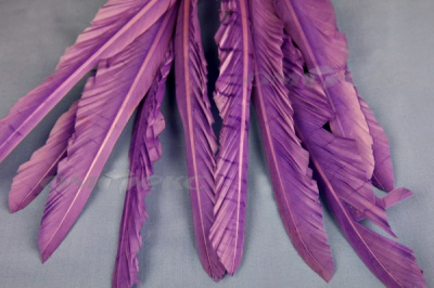Декоративный Пучок из перьев, перо 25см/фиолетовый - купить в Артеме. Цена: 12.19 руб.