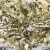 Трикотажное полотно, Сетка с пайетками, шир.130 см, #315, цв.-белый/золото - купить в Артеме. Цена 693.39 руб.