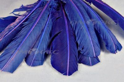 Декоративный Пучок из перьев, перо 23см/синий - купить в Артеме. Цена: 12.34 руб.