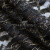 Кружевное полотно XD LACE 1-4, 80 гр/м2, шир.150см, цвет чёрный - купить в Артеме. Цена 248.45 руб.